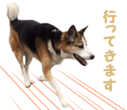 Kirara &Popo sticker #14175106