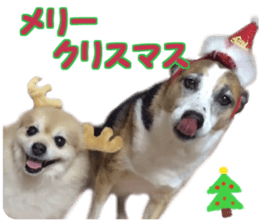 Kirara &Popo sticker #14175109