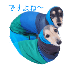 cosuyuzu sticker sticker #14176006