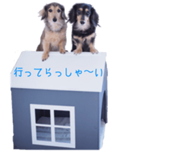 cosuyuzu sticker sticker #14176008