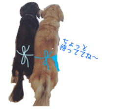 cosuyuzu sticker sticker #14176009