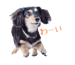 cosuyuzu sticker sticker #14176010