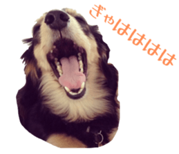 cosuyuzu sticker sticker #14176011