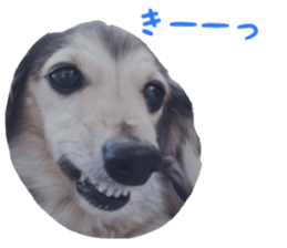 cosuyuzu sticker sticker #14176012