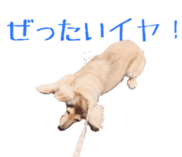 cosuyuzu sticker sticker #14176014