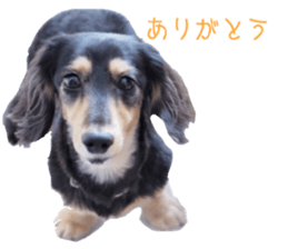 cosuyuzu sticker sticker #14176015