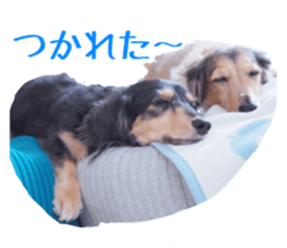 cosuyuzu sticker sticker #14176017