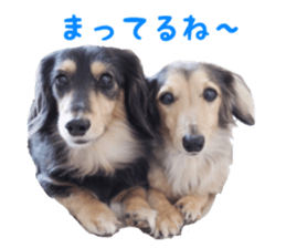 cosuyuzu sticker sticker #14176018