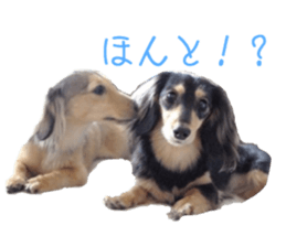 cosuyuzu sticker sticker #14176021