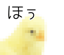 Mr. Hiyoko sticker #14176245