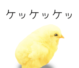 Mr. Hiyoko sticker #14176248