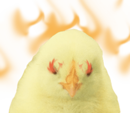 Mr. Hiyoko sticker #14176250