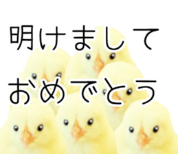 Mr. Hiyoko sticker #14176260