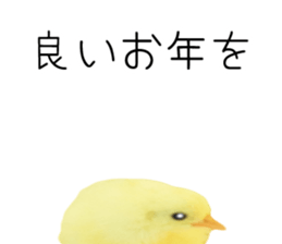 Mr. Hiyoko sticker #14176261