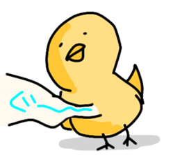 Mr.bird.1 sticker #14177119