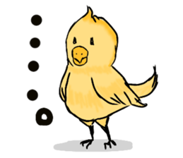 Mr.bird.1 sticker #14177133