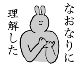 Rabbit's name is Nao sticker #14177537