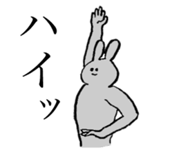 Rabbit's name is Nao sticker #14177544