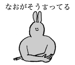 Rabbit's name is Nao sticker #14177547