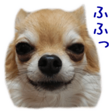 Sticker of Cereza5 sticker #14177934