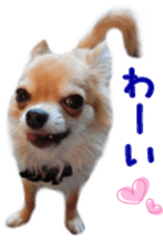 Sticker of Cereza5 sticker #14177935