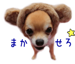 Sticker of Cereza5 sticker #14177938