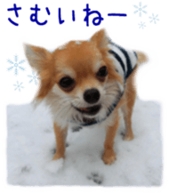 Sticker of Cereza5 sticker #14177941