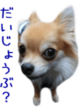 Sticker of Cereza5 sticker #14177944