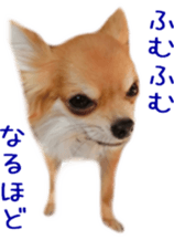 Sticker of Cereza5 sticker #14177945