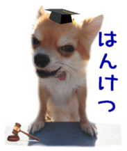 Sticker of Cereza5 sticker #14177947