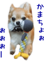 Sticker of Cereza5 sticker #14177950