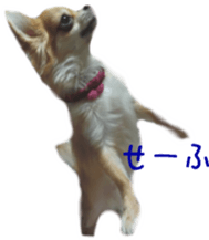 Sticker of Cereza5 sticker #14177951