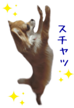 Sticker of Cereza5 sticker #14177952