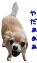 Sticker of Cereza5 sticker #14177957