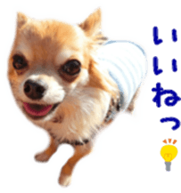 Sticker of Cereza5 sticker #14177958