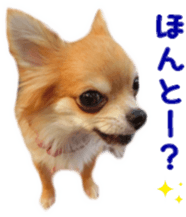 Sticker of Cereza5 sticker #14177961