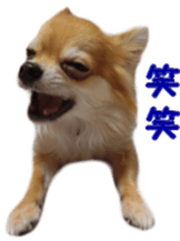 Sticker of Cereza5 sticker #14177963