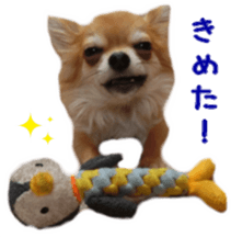 Sticker of Cereza5 sticker #14177965