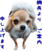 Sticker of Cereza5 sticker #14177966