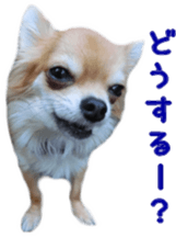 Sticker of Cereza5 sticker #14177971