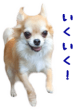 Sticker of Cereza5 sticker #14177972