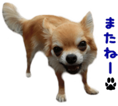 Sticker of Cereza5 sticker #14177973