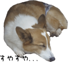 Sleeping dogs' stickers sticker #14183374