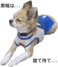Sleeping dogs' stickers sticker #14183375
