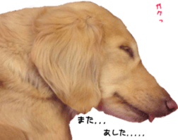 Sleeping dogs' stickers sticker #14183377