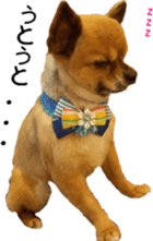 Sleeping dogs' stickers sticker #14183379