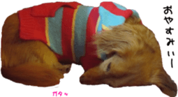 Sleeping dogs' stickers sticker #14183380
