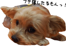 Sleeping dogs' stickers sticker #14183381