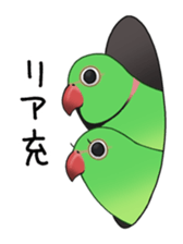 Ring-necked Sticker sticker #14185163