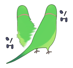 Ring-necked Sticker sticker #14185170